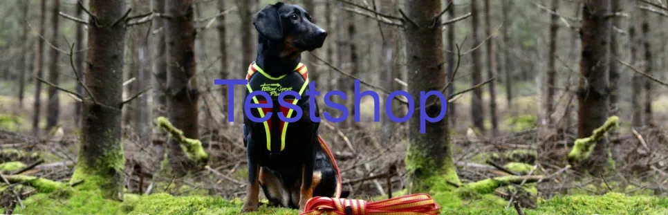 Hund mit Niggeloh Geschirr FOLLOW SPORT PLUS Hund mit Niggeloh Geschirr FOLLOW SPORT Plus sitzt am Waldrand