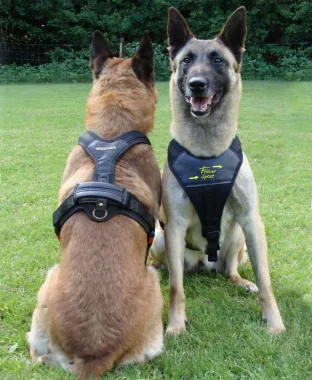 Dog Harness FOLLOW "Sport"