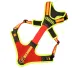Dog Harness "FOLLOW TRAIL"