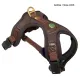 Dog Harness FOLLOW "Light" Brown